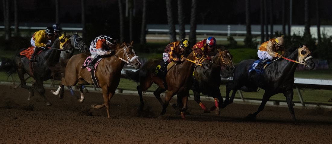 A field turns for home at night at Los Alamitos
