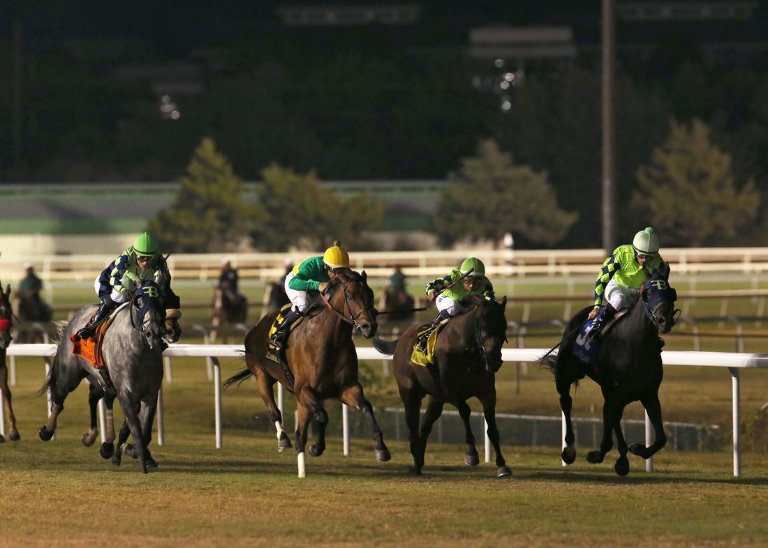 Horses in the stretch at Remington Park at night