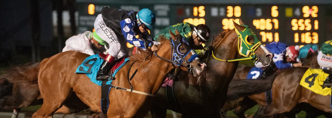 Quarter Horses finish in front of the tote board at Los Alamitos